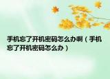 手机忘了开机密码怎么办啊（手机忘了开机密码怎么办）