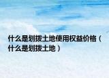 什么是划拨土地使用权益价格（什么是划拨土地）