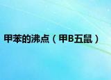 甲苯的沸点（甲B五鼠）