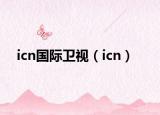 icn国际卫视（icn）