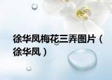 徐华凤梅花三弄图片（徐华凤）