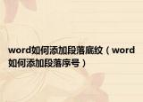 word如何添加段落底纹（word如何添加段落序号）