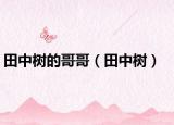 田中树的哥哥（田中树）