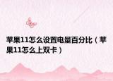苹果11怎么设置电量百分比（苹果11怎么上双卡）