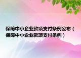 保障中小企业款项支付条例公布（保障中小企业款项支付条例）
