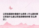 公积金直接补缴是什么意思（什么是补缴公积金什么是公积金追缴和补缴 怎么界定）