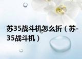 苏35战斗机怎么折（苏-35战斗机）