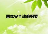国家安全战略纲要