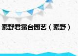 素野君露台园艺（素野）