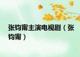 张钧甯主演电视剧（张钧甯）