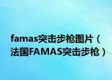 famas突击步枪图片（法国FAMAS突击步枪）