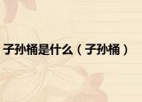 子孙桶是什么（子孙桶）
