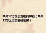 苹果12怎么设置密码解锁（苹果12怎么设置密码锁屏）
