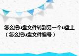 怎么把u盘文件转到另一个u盘上（怎么把u盘文件编号）