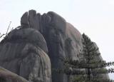 黄山的奇石（大美黄山奇松怪石）