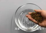 葡萄干怎么洗（葡萄干不要直接吃很脏）