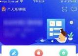 如何查询个人所得税（个人所得税app怎么看自己交的税）