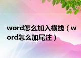 word怎么加入横线（word怎么加尾注）