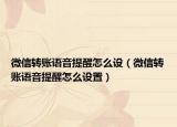 微信转账语音提醒怎么设（微信转账语音提醒怎么设置）