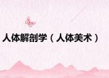 人体解剖学（人体美术）