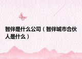 智伴是什么公司（智伴城市合伙人是什么）