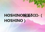 HOSHINO婉溪