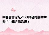中非合作论坛2021峰会啥时候举办（中非合作论坛）