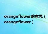 orangeflower啥意思（orangeflower）