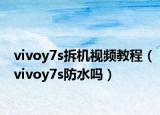 vivoy7s拆机视频教程（vivoy7s防水吗）
