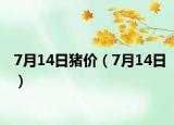 7月14日猪价（7月14日）