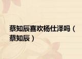 蔡知辰喜欢杨仕泽吗（蔡知辰）