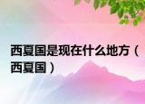 西夏国是现在什么地方（西夏国）