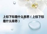上标下标是什么意思（上标下标是什么意思）