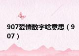 907爱情数字啥意思（907）