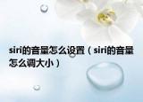 siri的音量怎么设置（siri的音量怎么调大小）