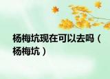 杨梅坑现在可以去吗（杨梅坑）