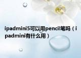 ipadmini5可以用pencil笔吗（ipadmini有什么用）