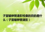 子宫输卵管造影检查的目的是什么（子宫输卵管造影）