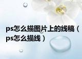 ps怎么描图片上的线稿（ps怎么描线）