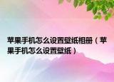 苹果手机怎么设置壁纸相册（苹果手机怎么设置壁纸）