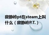 寂静岭pt在steam上叫什么（寂静岭P.T.）
