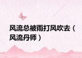 风流总被雨打风吹去（风流丹师）