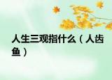 人生三观指什么（人齿鱼）