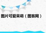 图片可爱呆萌（图客网）