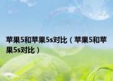 苹果5和苹果5s对比（苹果5和苹果5s对比）