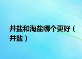 井盐和海盐哪个更好（井盐）