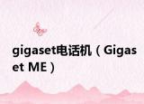 gigaset电话机（Gigaset ME）