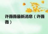 许薇薇最新消息（许薇薇）