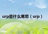 urp是什么意思（urp）