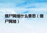 僵尸网络什么意思（僵尸网络）